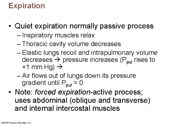 Expiration • Quiet expiration normally passive process – Inspiratory muscles relax – Thoracic cavity