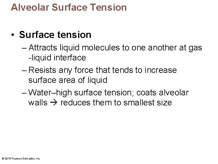 Alveolar Surface Tension • Surface tension – Attracts liquid molecules to one another at