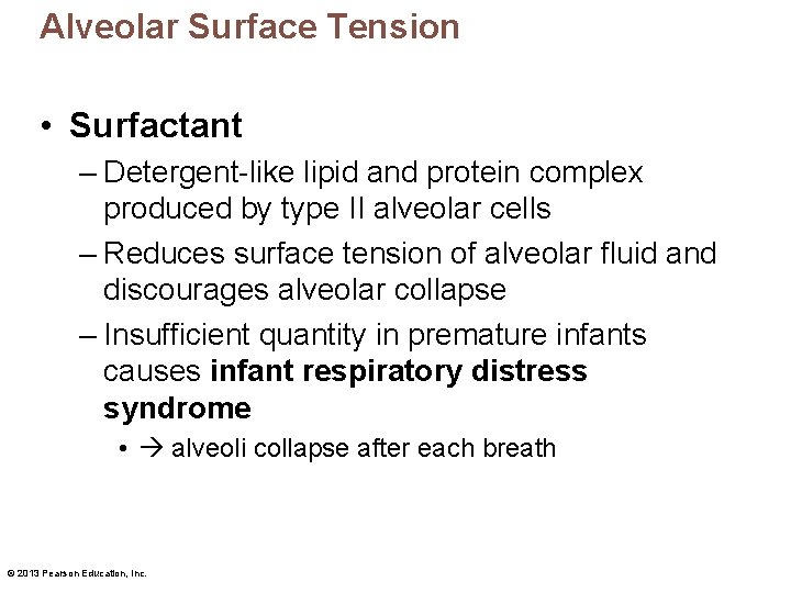 Alveolar Surface Tension • Surfactant – Detergent-like lipid and protein complex produced by type