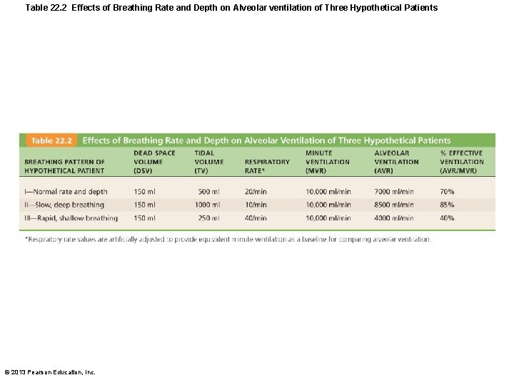 Table 22. 2 Effects of Breathing Rate and Depth on Alveolar ventilation of Three