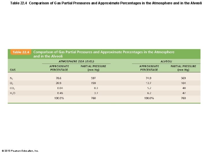 Table 22. 4 Comparison of Gas Partial Pressures and Approximate Percentages in the Atmosphere