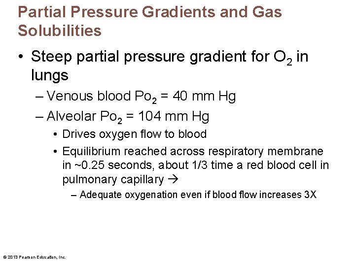 Partial Pressure Gradients and Gas Solubilities • Steep partial pressure gradient for O 2