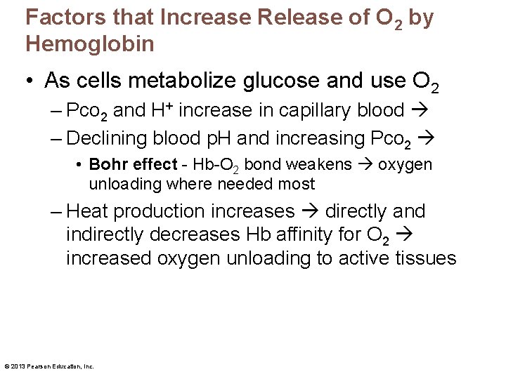 Factors that Increase Release of O 2 by Hemoglobin • As cells metabolize glucose