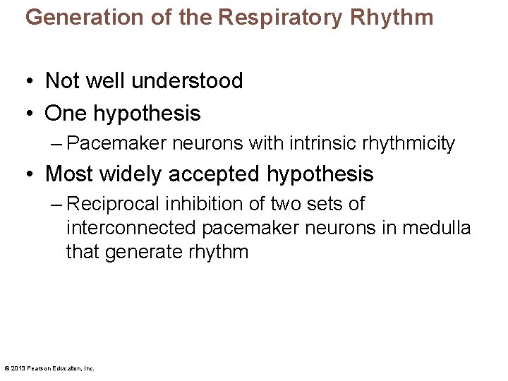 Generation of the Respiratory Rhythm • Not well understood • One hypothesis – Pacemaker