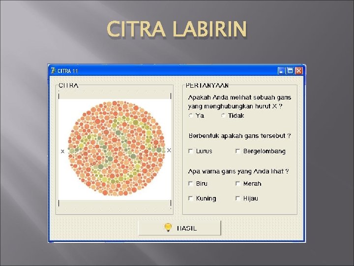 CITRA LABIRIN 