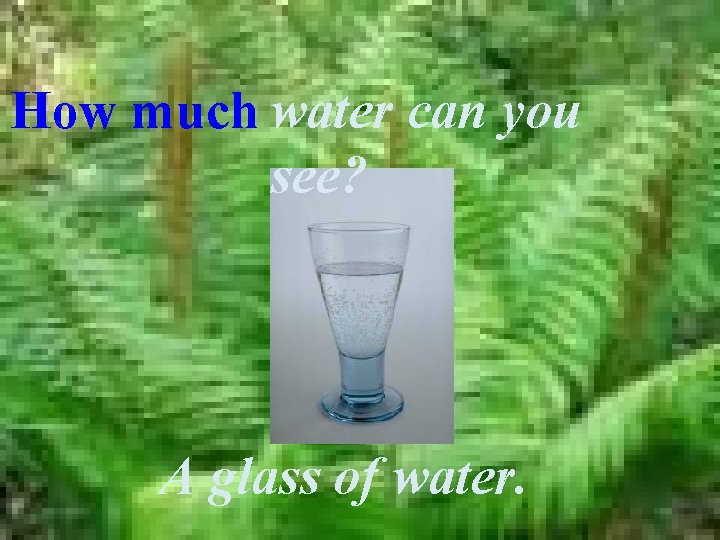 How much water can you see? A glass of water. 
