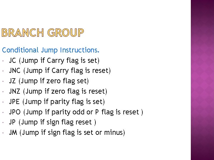 BRANCH GROUP Conditional Jump Instructions. JC (Jump if Carry flag is set) JNC (Jump