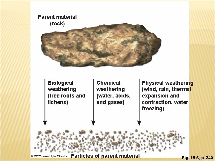 Parent material (rock) Biological weathering (tree roots and lichens) Chemical weathering (water, acids, and