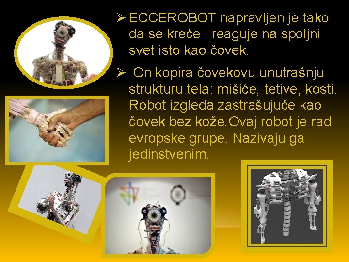 Ø ECCEROBOT napravljen je tako da se kreće i reaguje na spoljni svet isto