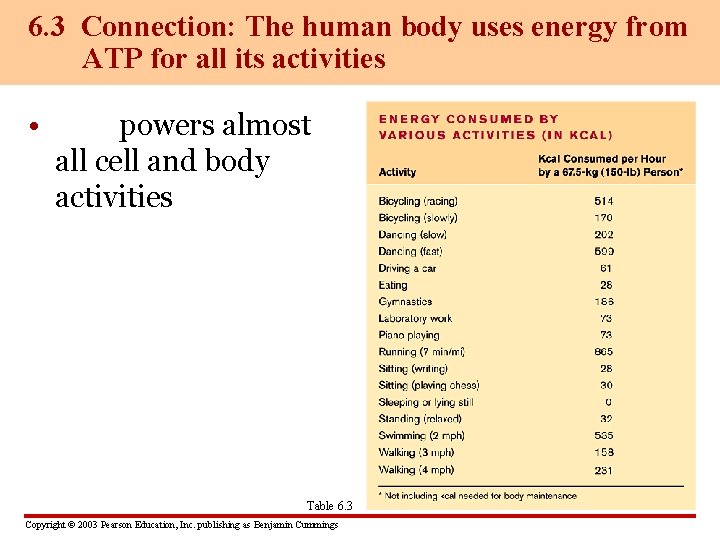 6. 3 Connection: The human body uses energy from ATP for all its activities