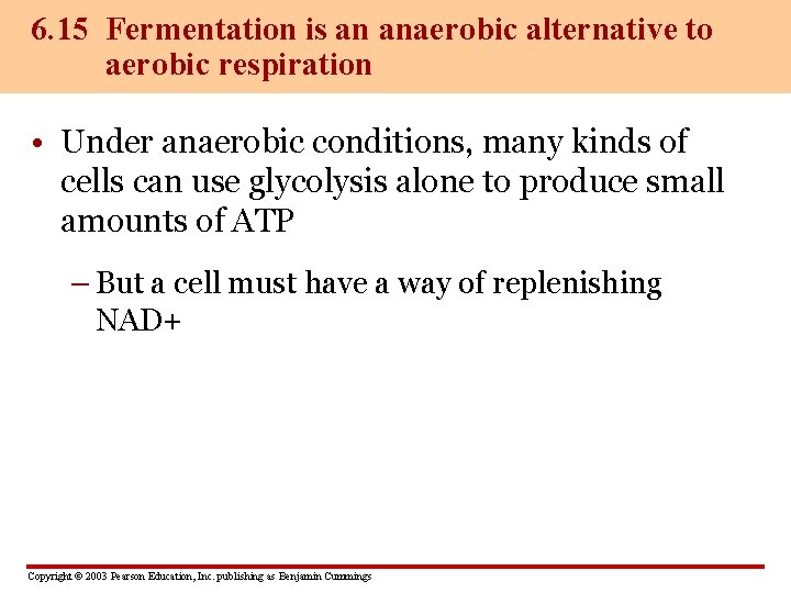 6. 15 Fermentation is an anaerobic alternative to aerobic respiration • Under anaerobic conditions,