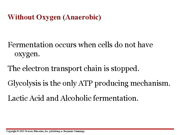 Without Oxygen (Anaerobic) Fermentation occurs when cells do not have oxygen. The electron transport