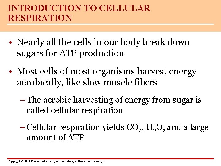 INTRODUCTION TO CELLULAR RESPIRATION • Nearly all the cells in our body break down