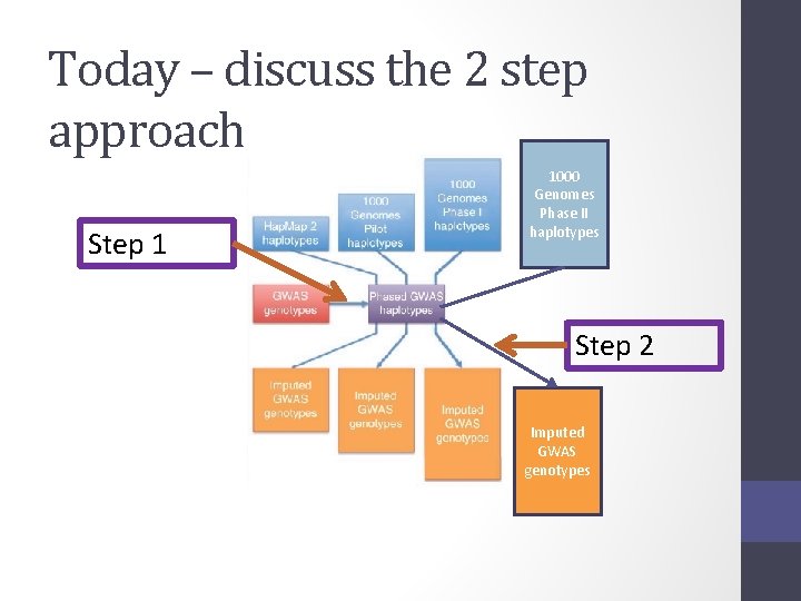 Today – discuss the 2 step approach Step 1 1000 Genomes Phase II haplotypes