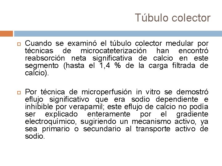 Túbulo colector Cuando se examinó el túbulo colector medular por técnicas de microcateterización han