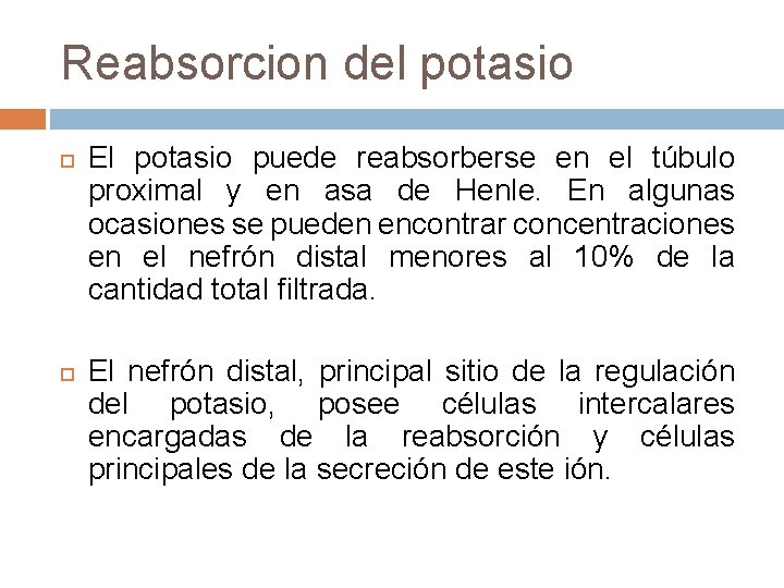 Reabsorcion del potasio El potasio puede reabsorberse en el túbulo proximal y en asa