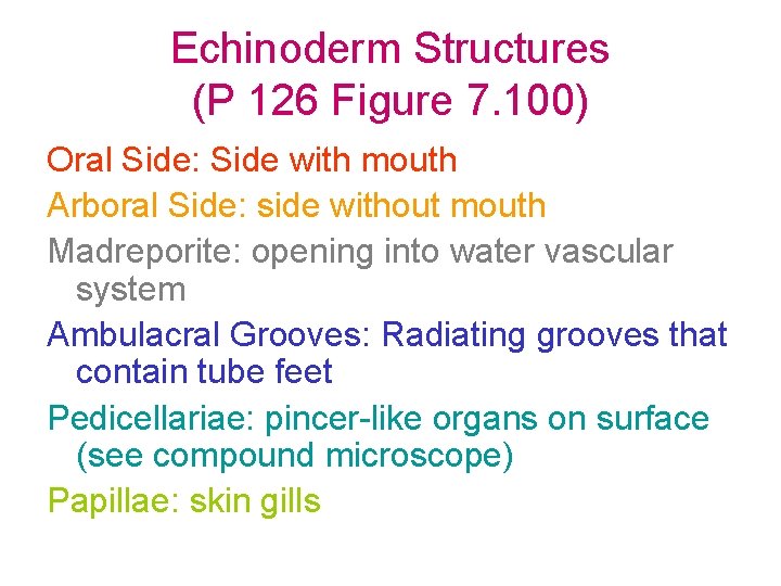 Echinoderm Structures (P 126 Figure 7. 100) Oral Side: Side with mouth Arboral Side: