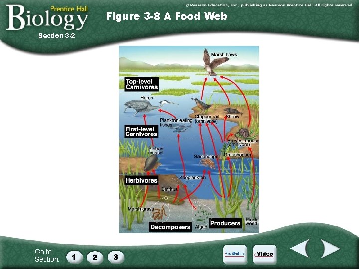 Figure 3 -8 A Food Web Section 3 -2 Go to Section: 