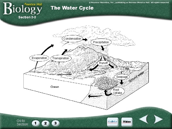 The Water Cycle Section 3 -3 Condensation Precipitation Evaporation Transpiration Runoff Seepage Root Uptake The Water Cycle Section 3 -3 Condensation Precipitation Evaporation Transpiration Runoff Seepage Root Uptake