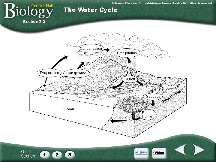 The Water Cycle Section 3 -3 Condensation Precipitation Evaporation Transpiration Runoff Seepage Root Uptake