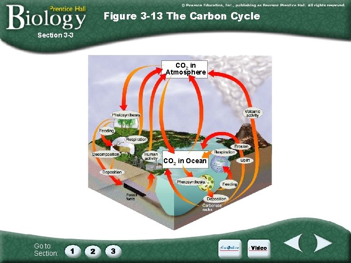 Figure 3 -13 The Carbon Cycle Section 3 -3 CO 2 in Atmosphere CO Figure 3 -13 The Carbon Cycle Section 3 -3 CO 2 in Atmosphere CO