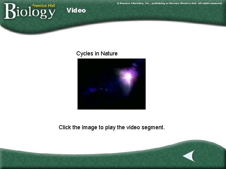 Video Cycles in Nature Click the image to play the video segment. 