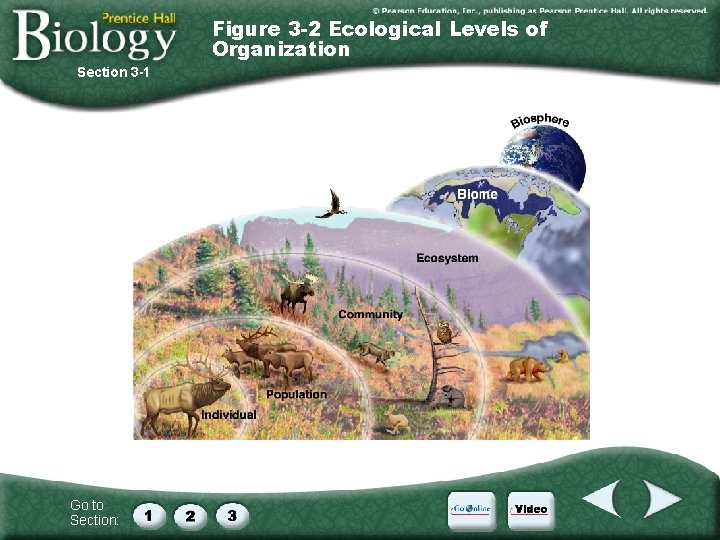 Figure 3 -2 Ecological Levels of Organization Section 3 -1 Go to Section: 