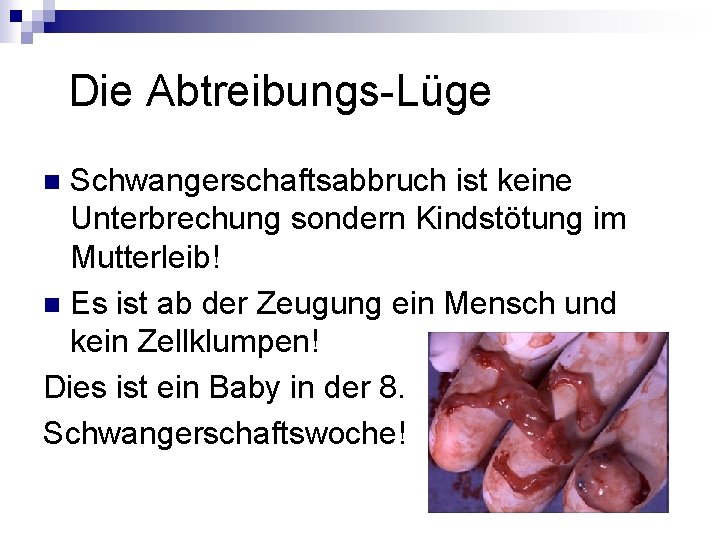 Die Abtreibungs-Lüge Schwangerschaftsabbruch ist keine Unterbrechung sondern Kindstötung im Mutterleib! n Es ist Die Abtreibungs-Lüge Schwangerschaftsabbruch ist keine Unterbrechung sondern Kindstötung im Mutterleib! n Es ist