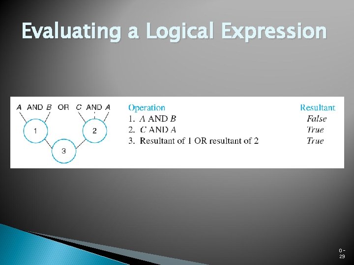 Evaluating a Logical Expression 029 