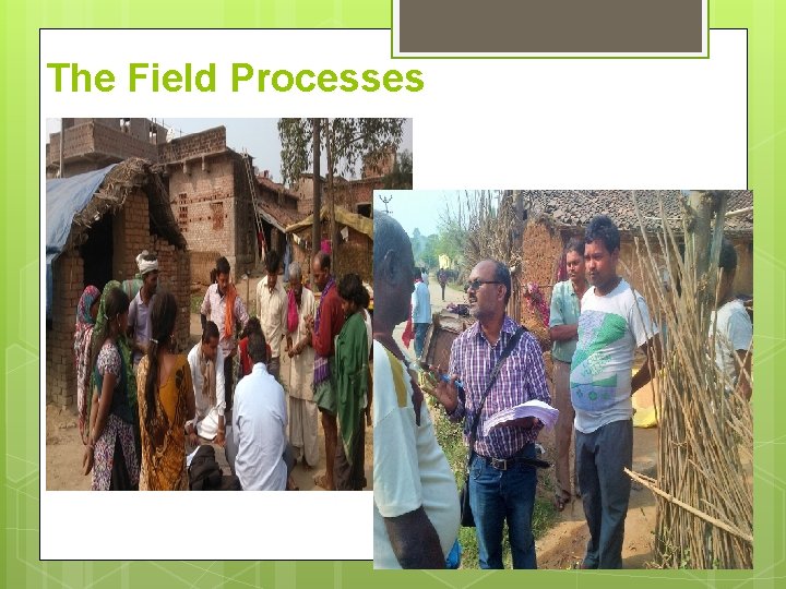 The Field Processes 