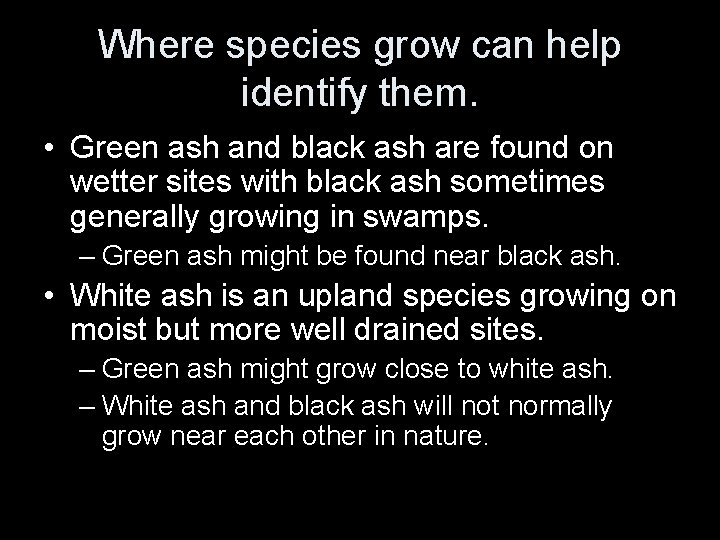 Where species grow can help identify them. • Green ash and black ash are