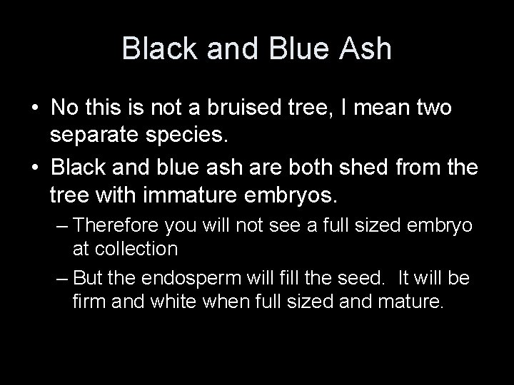 Black and Blue Ash • No this is not a bruised tree, I mean