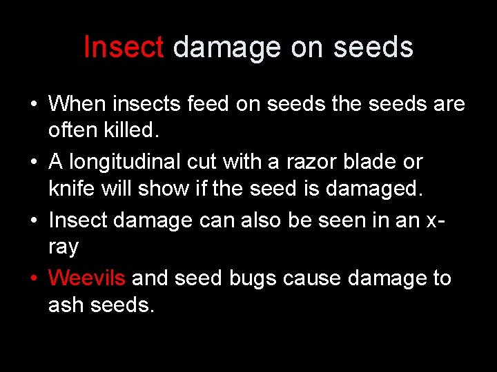 Insect damage on seeds • When insects feed on seeds the seeds are often