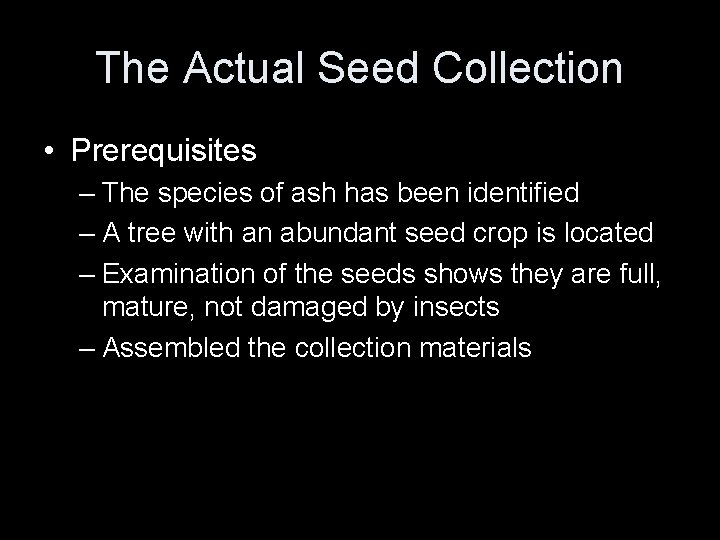 The Actual Seed Collection • Prerequisites – The species of ash has been identified