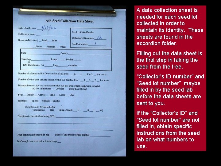 A data collection sheet is needed for each seed lot collected in order to