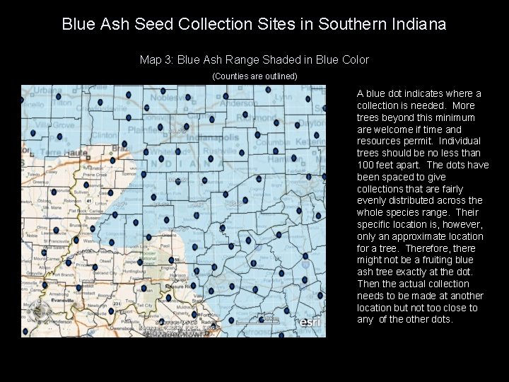 Blue Ash Seed Collection Sites in Southern Indiana Map 3: Blue Ash Range Shaded