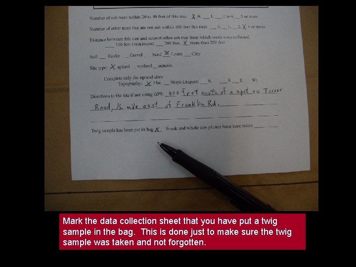 Mark the data collection sheet that you have put a twig sample in the