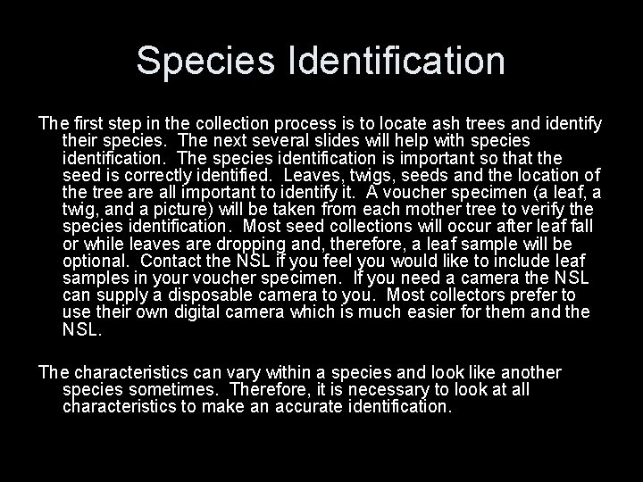 Species Identification The first step in the collection process is to locate ash trees