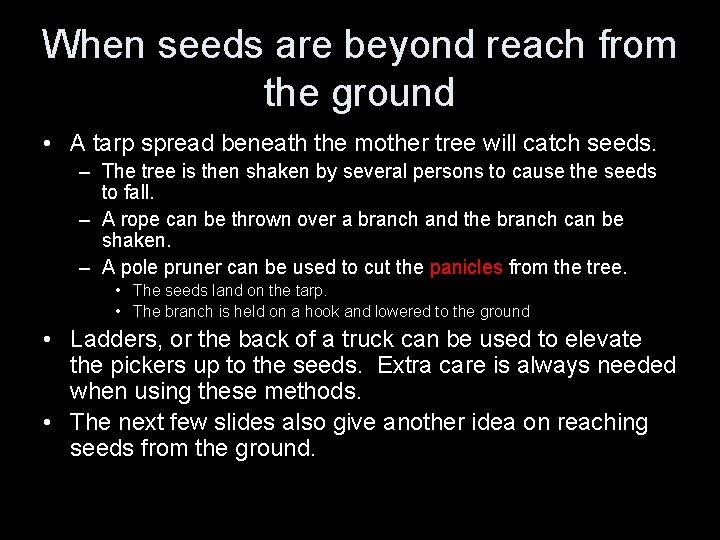 When seeds are beyond reach from the ground • A tarp spread beneath the