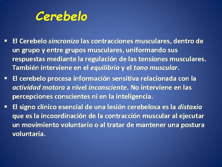 Cerebelo El Cerebelo sincroniza las contracciones musculares, dentro de un grupo y entre grupos