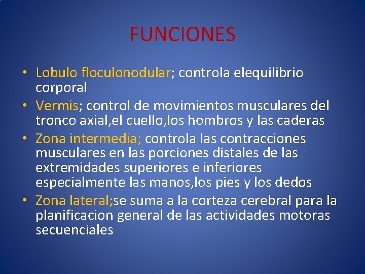 FUNCIONES • Lobulo floculonodular; controla elequilibrio corporal • Vermis; control de movimientos musculares del