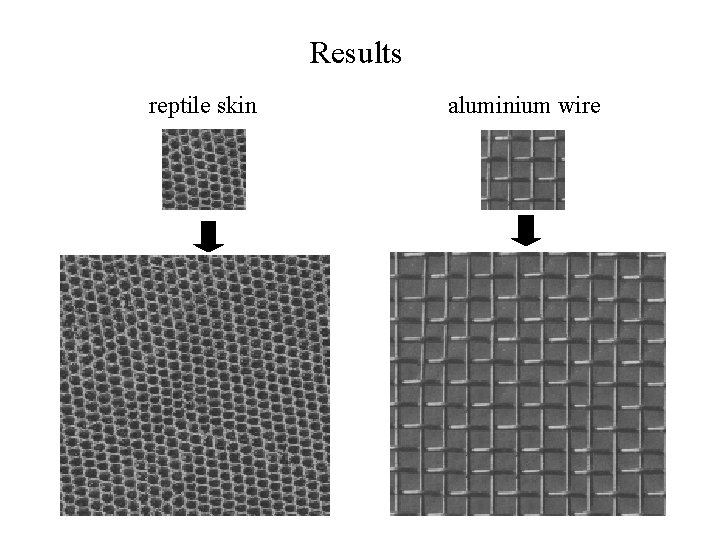 Results reptile skin aluminium wire 