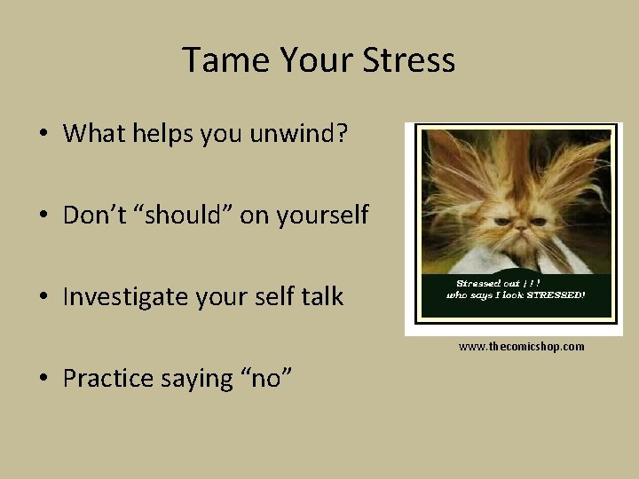 Tame Your Stress • What helps you unwind? • Don’t “should” on yourself •