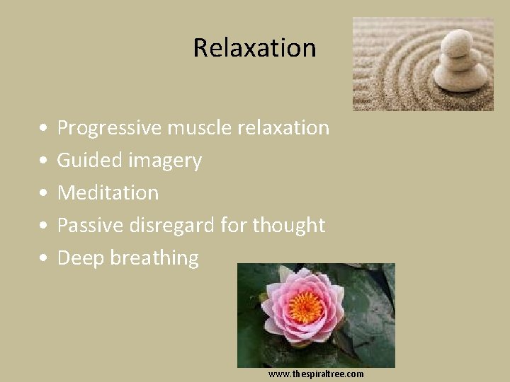 Relaxation • • • Progressive muscle relaxation Guided imagery Meditation Passive disregard for thought