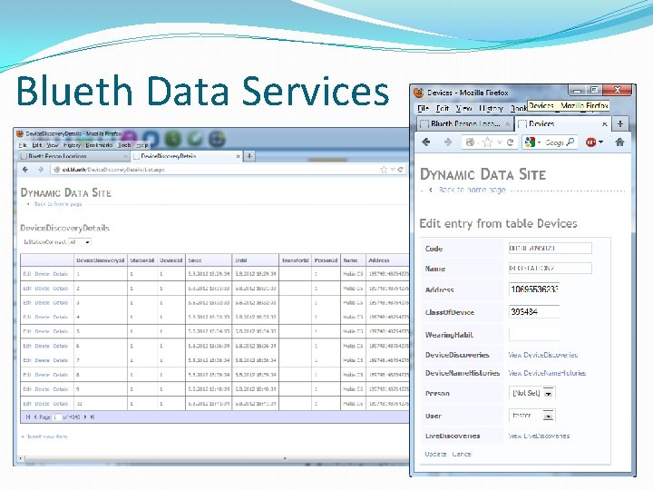 Blueth Data Services 