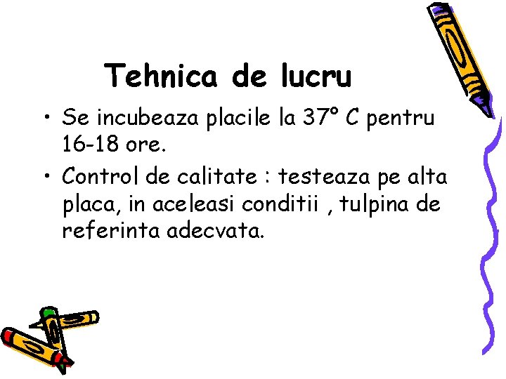 Tehnica de lucru • Se incubeaza placile la 37° C pentru 16 -18 ore.