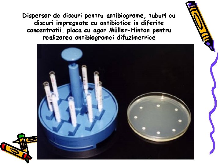 Dispersor de discuri pentru antibiograme, tuburi cu discuri impregnate cu antibiotice in diferite concentratii,