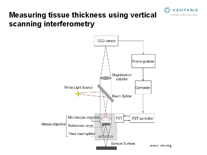 Measuring tissue thickness using vertical scanning interferometry source: cnx. org 