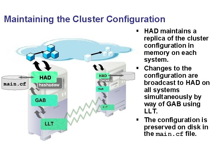 Maintaining the Cluster Configuration HAD main. cf hashadow HAD hashadow § HAD maintains a