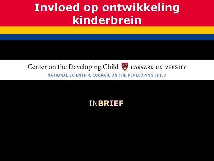 Invloed op ontwikkeling kinderbrein 